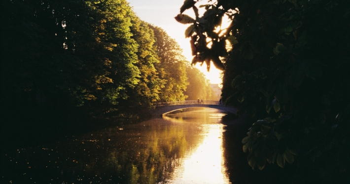 Blick auf einen See zwischen Bäumen